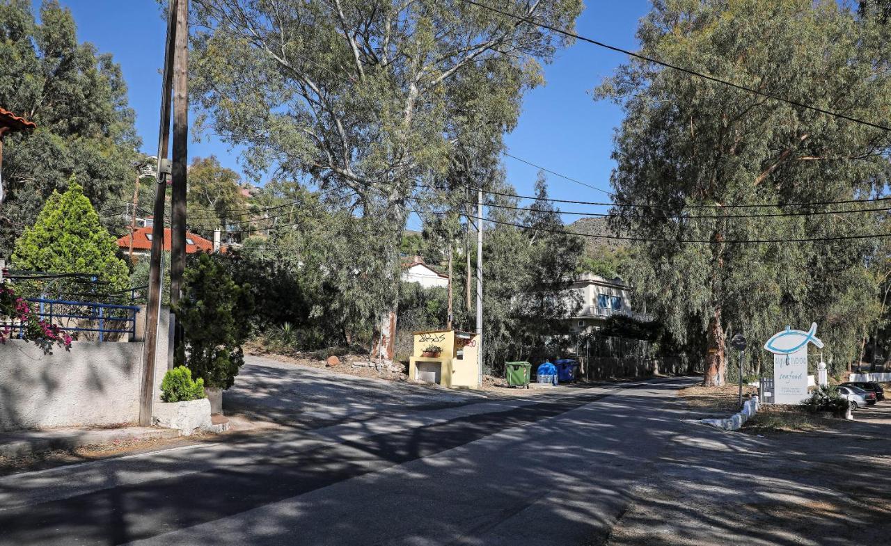 Villa Eucalyptus
